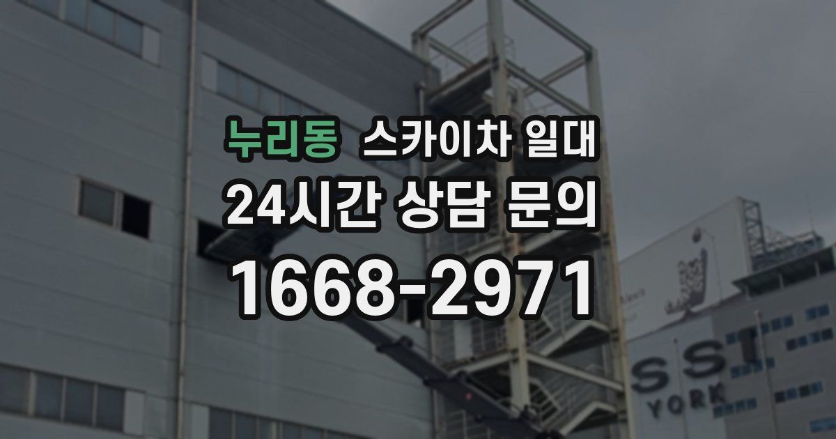 누리동 스카이차 일대
