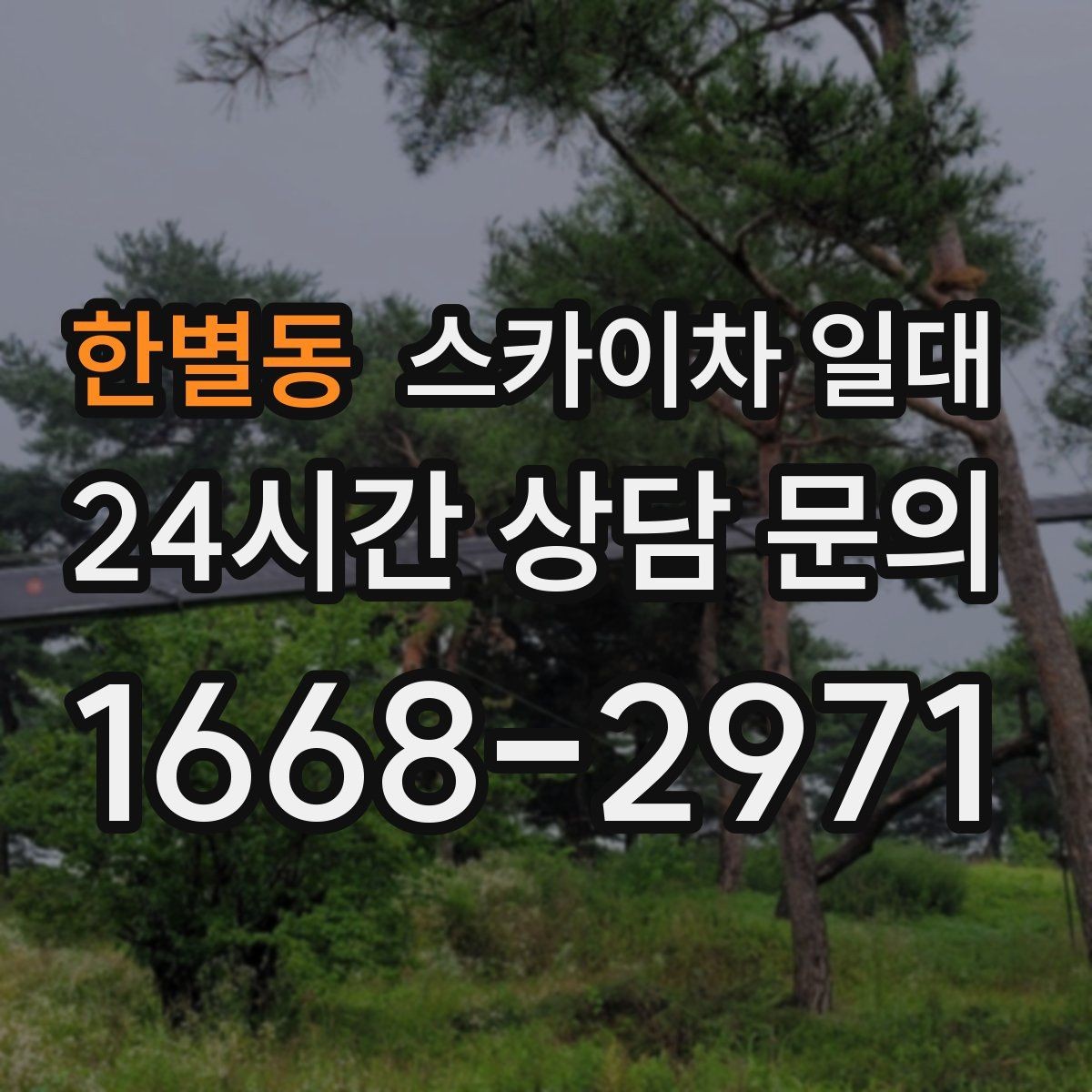 한별동 스카이차 일대 초보자도 알아두면 좋은 기본 정보