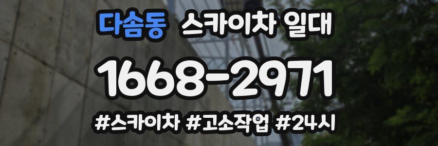 다솜동 스카이차 일대