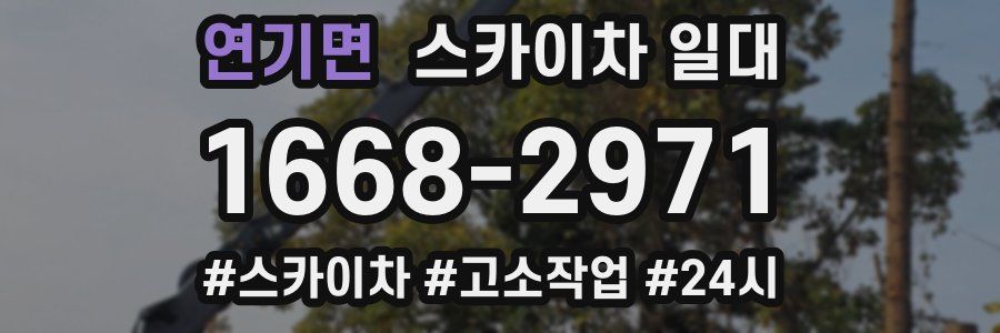 연기면 스카이차 일대