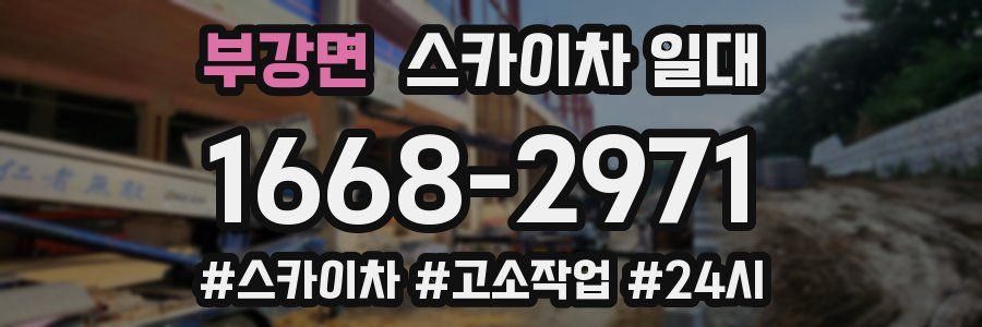 부강면 스카이차 일대