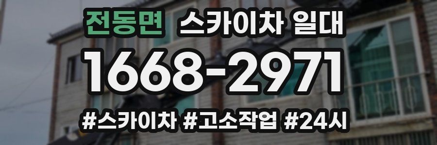 전동면 스카이차 일대