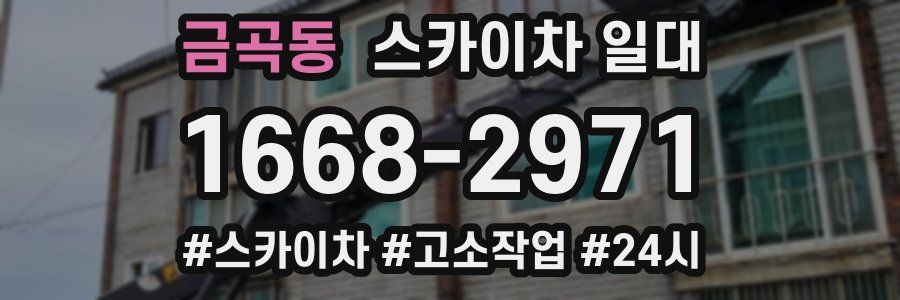금곡동 스카이차 일대