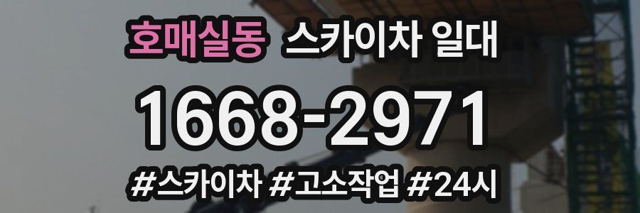 호매실동 스카이차 일대