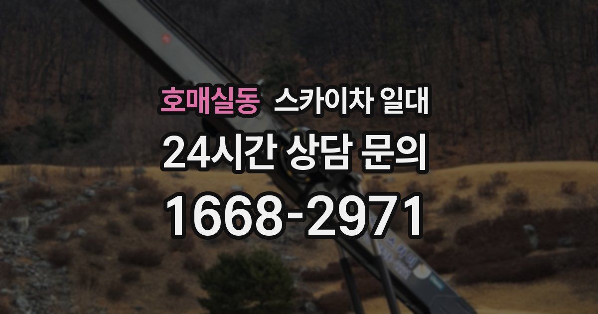 호매실동 스카이차 일대