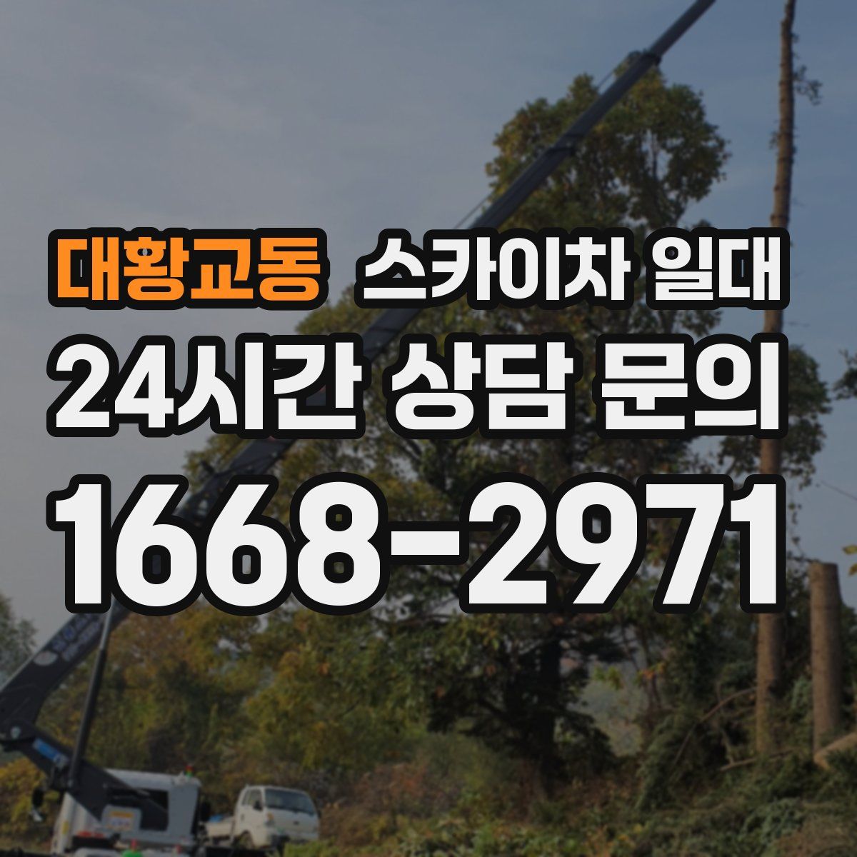 대황교동 스카이차 일대