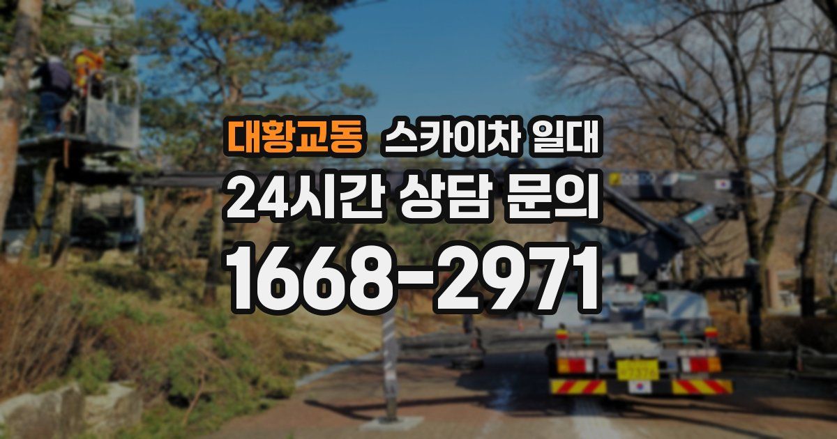 대황교동 스카이차 일대