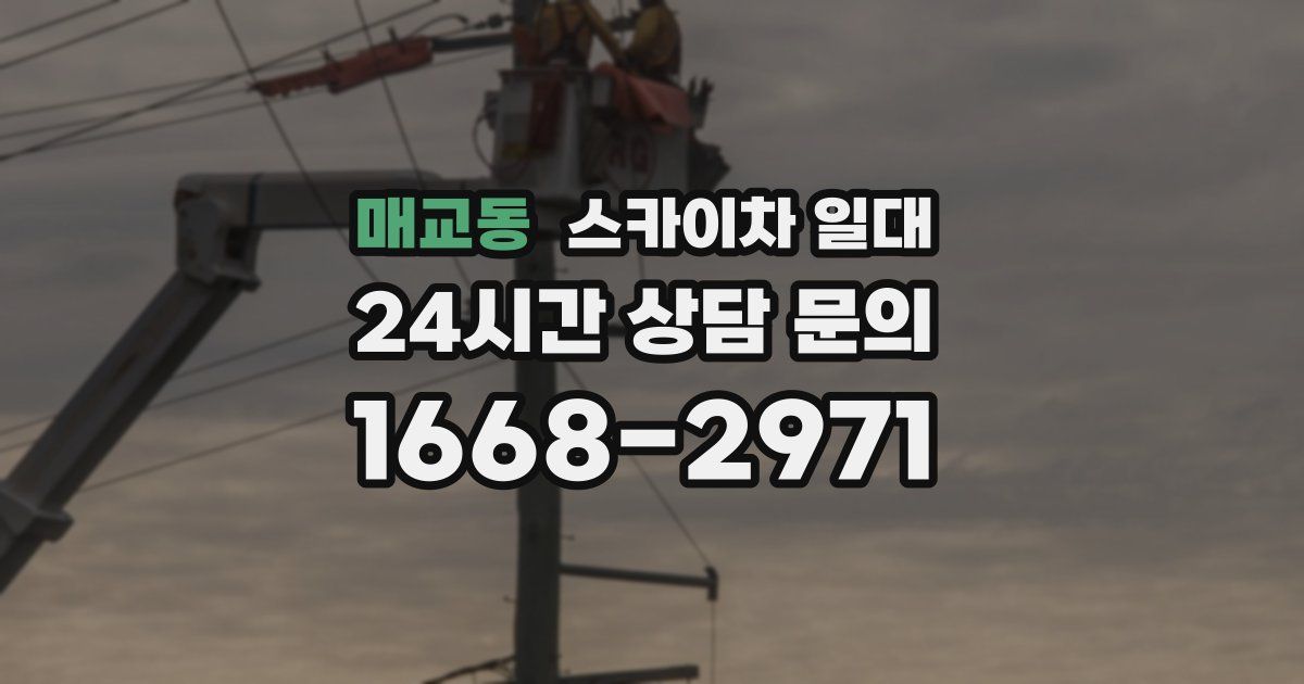 매교동 스카이차 일대