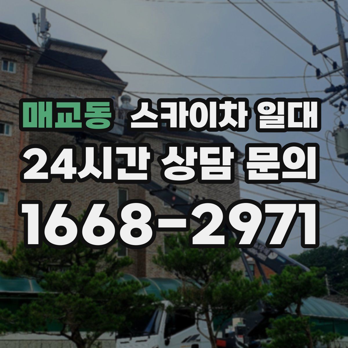 매교동 스카이차 일대
