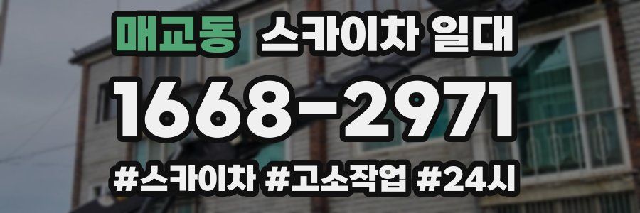 매교동 스카이차 일대