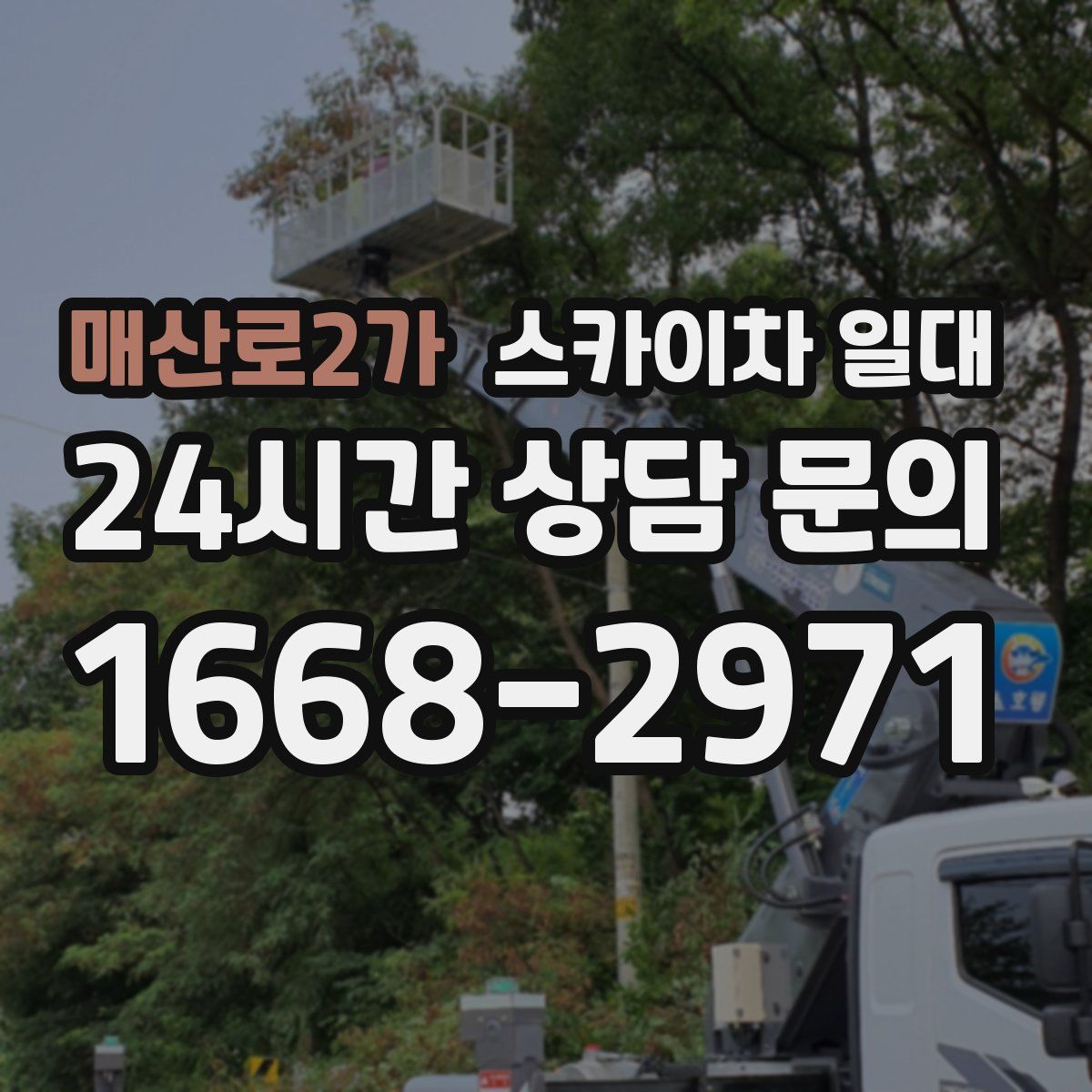 매산로2가 스카이차 일대