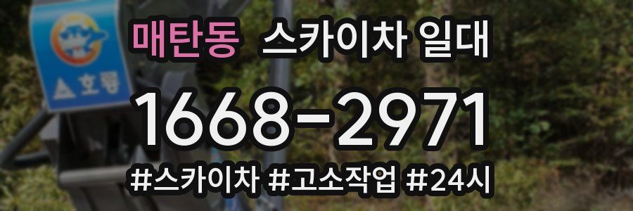 매탄동 스카이차 일대