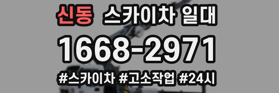 신동 스카이차 일대
