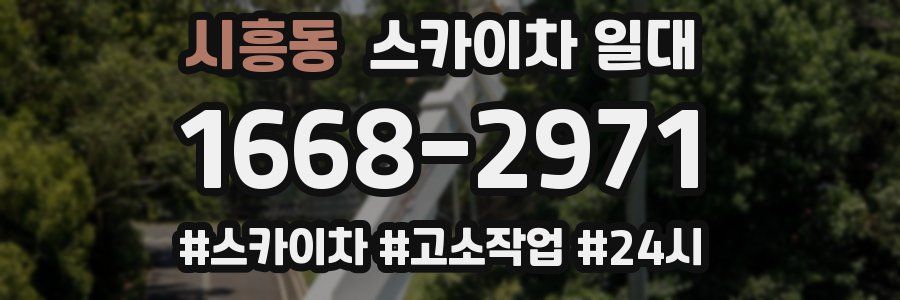 시흥동 스카이차 일대