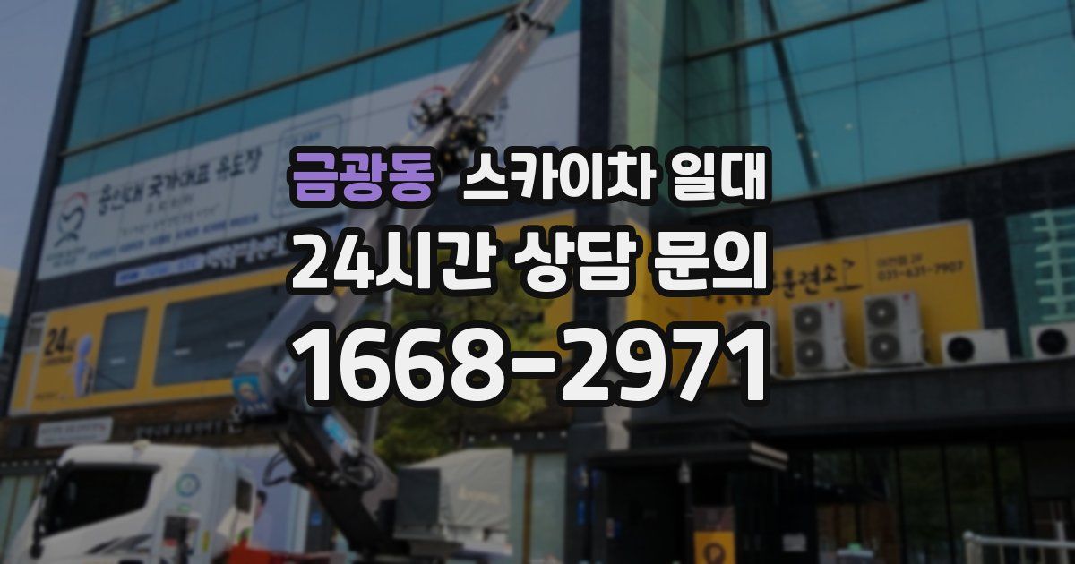 금광동 스카이차 일대