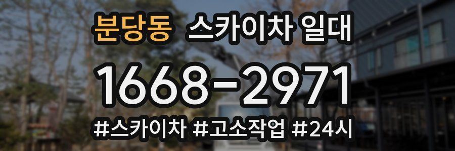 분당동 스카이차 일대