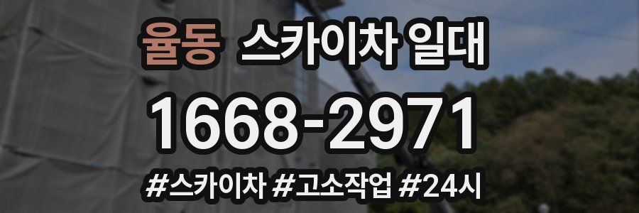 율동 스카이차 일대