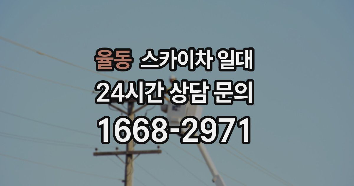 율동 스카이차 일대