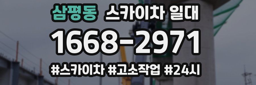 삼평동 스카이차 일대