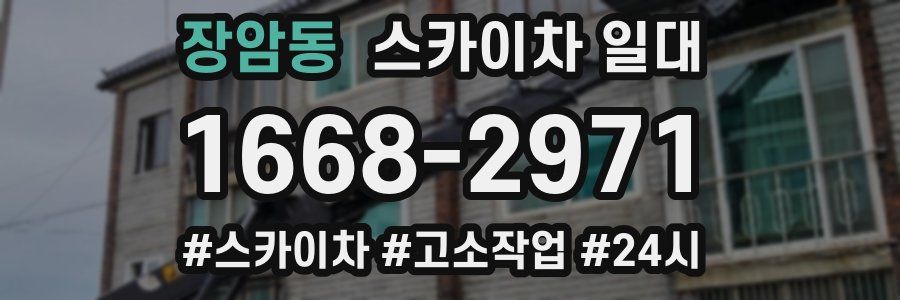 장암동 스카이차 일대
