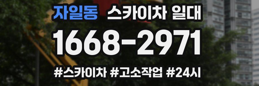 자일동 스카이차 일대