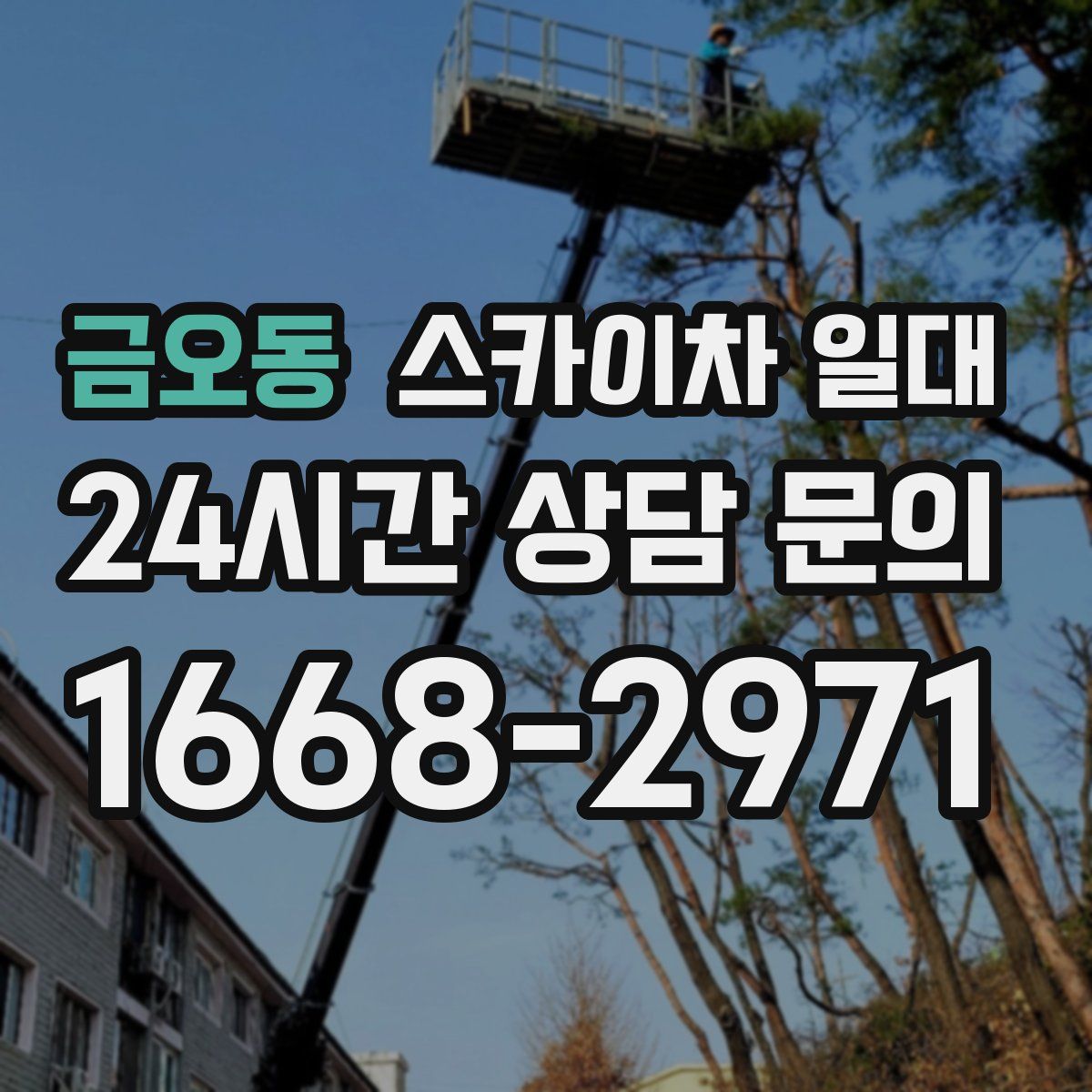 금오동 스카이차 일대