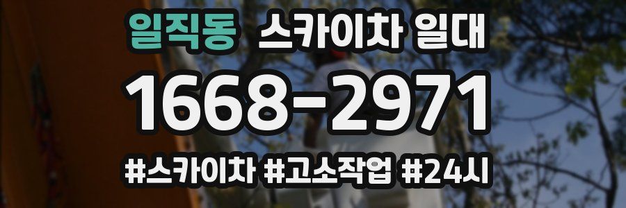 일직동 스카이차 일대