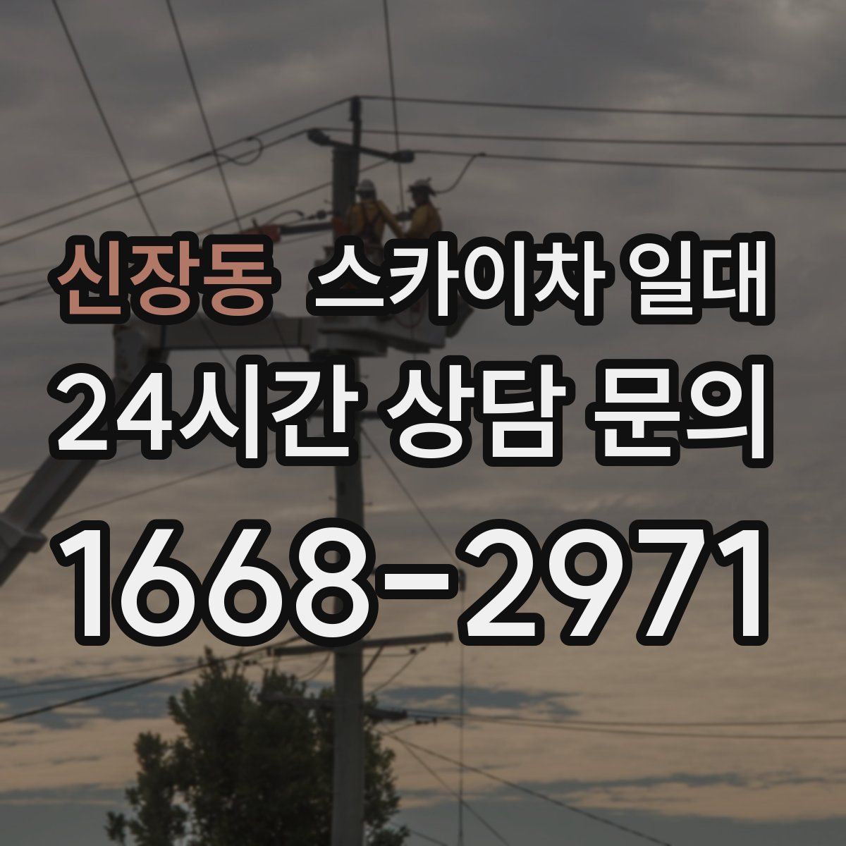 신장동 스카이차 일대