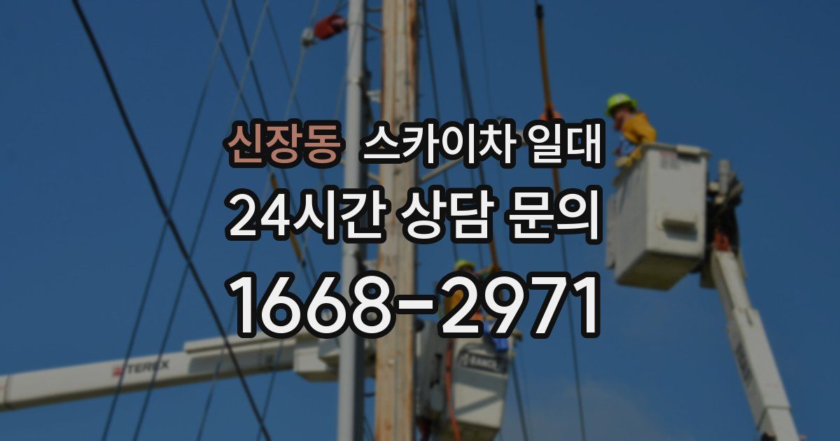 신장동 스카이차 일대