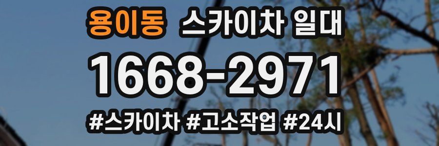 용이동 스카이차 일대