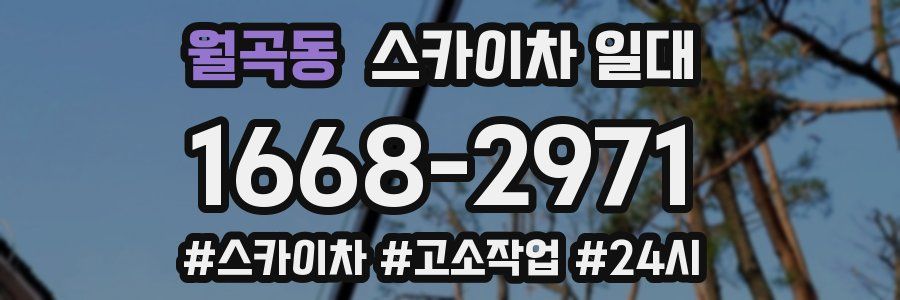 월곡동 스카이차 일대