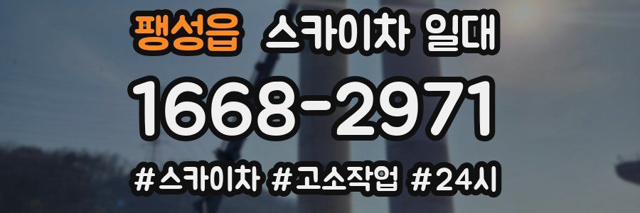 팽성읍 스카이차 일대