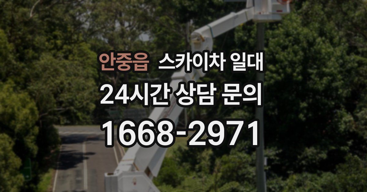 안중읍 스카이차 일대