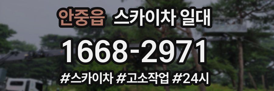안중읍 스카이차 일대