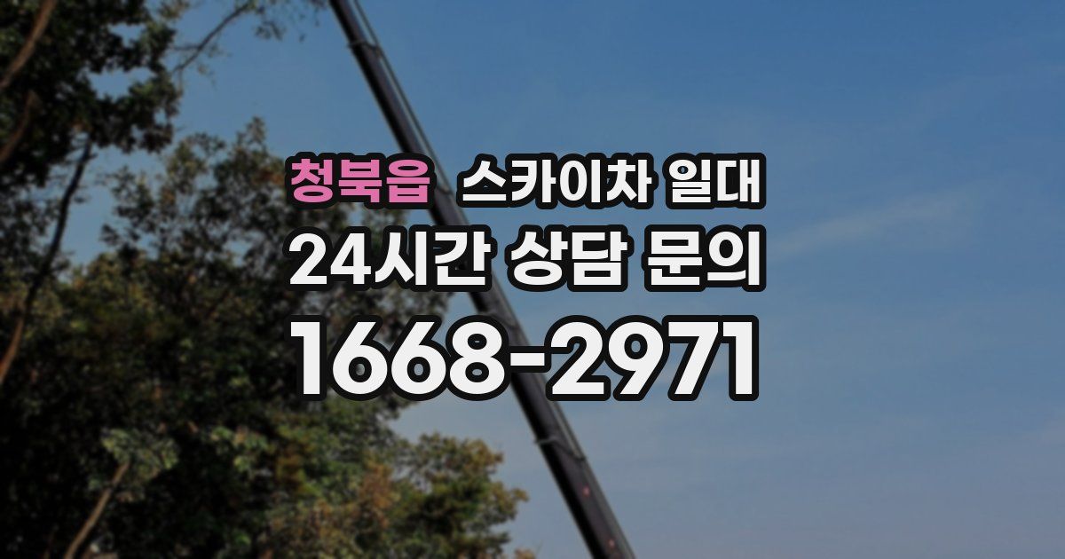 청북읍 스카이차 일대