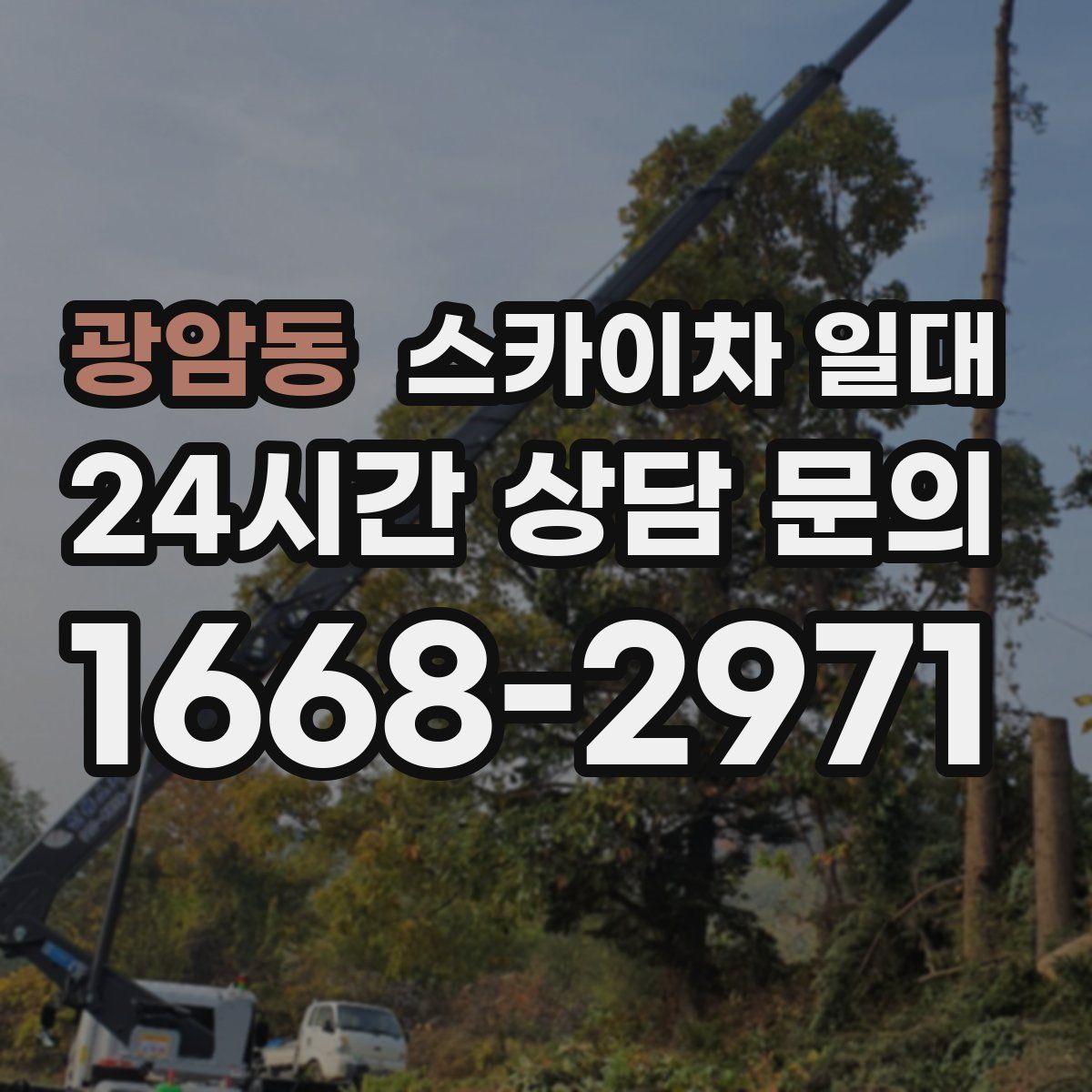 광암동 스카이차 일대