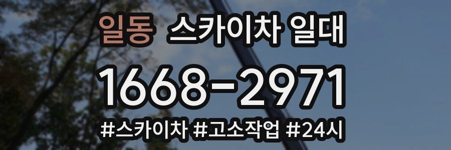 일동 스카이차 일대