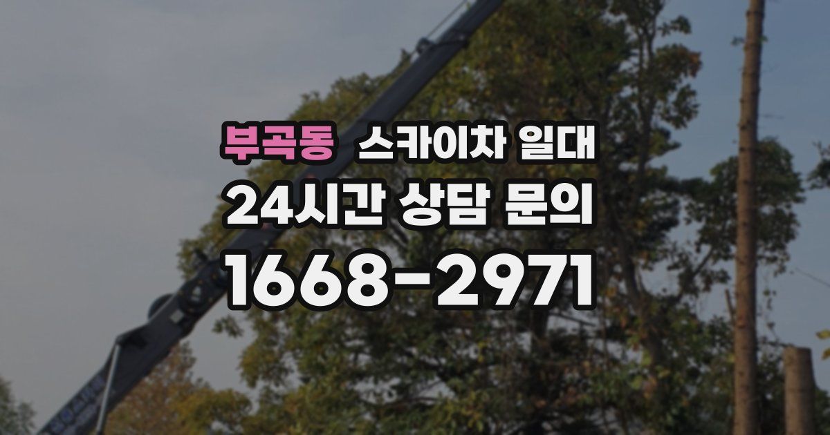 부곡동 스카이차 일대