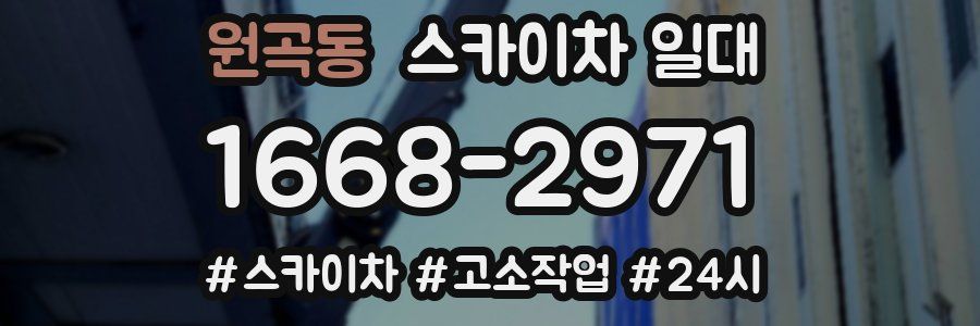 원곡동 스카이차 일대