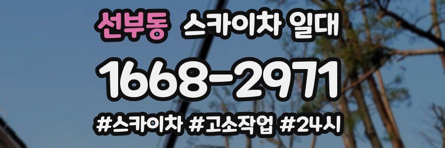 선부동 스카이차 일대