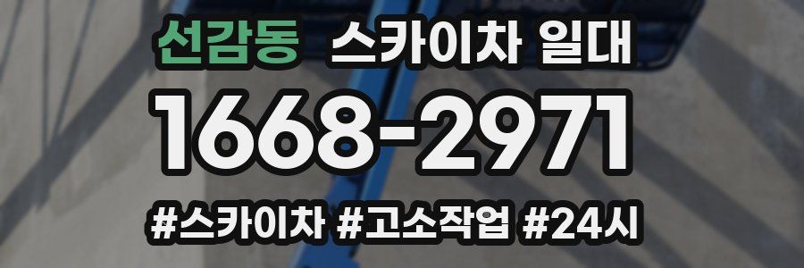 선감동 스카이차 일대
