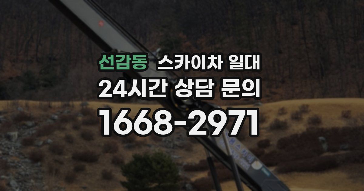 선감동 스카이차 일대