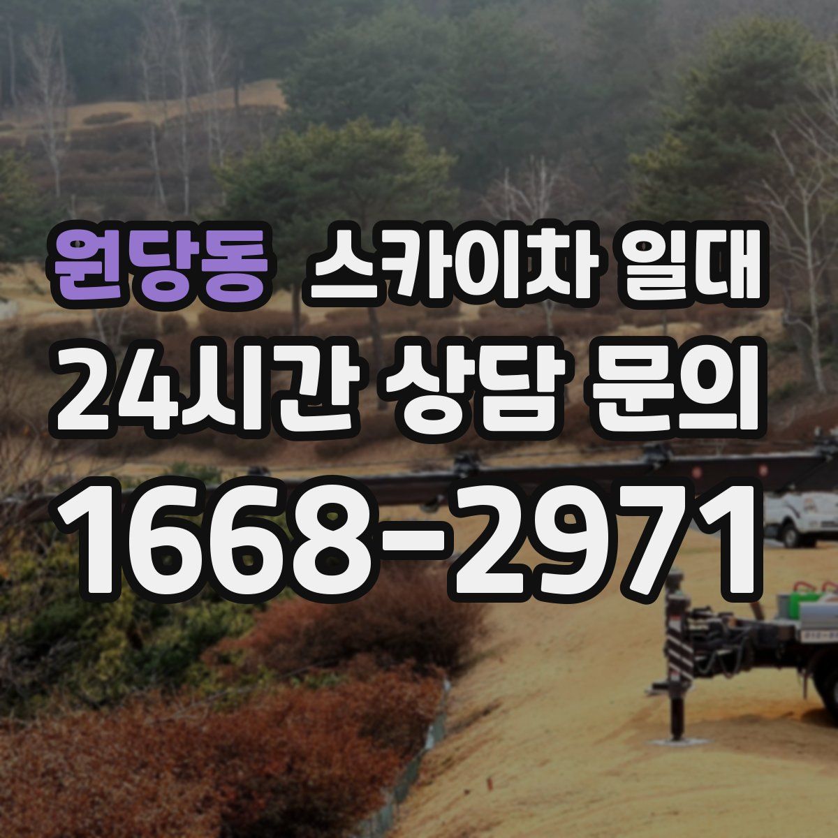 원당동 스카이차 일대