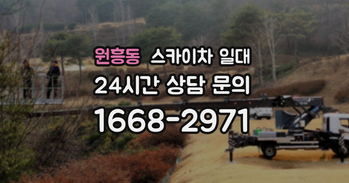 원흥동 스카이차 일대
