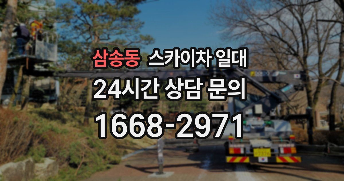 삼송동 스카이차 일대