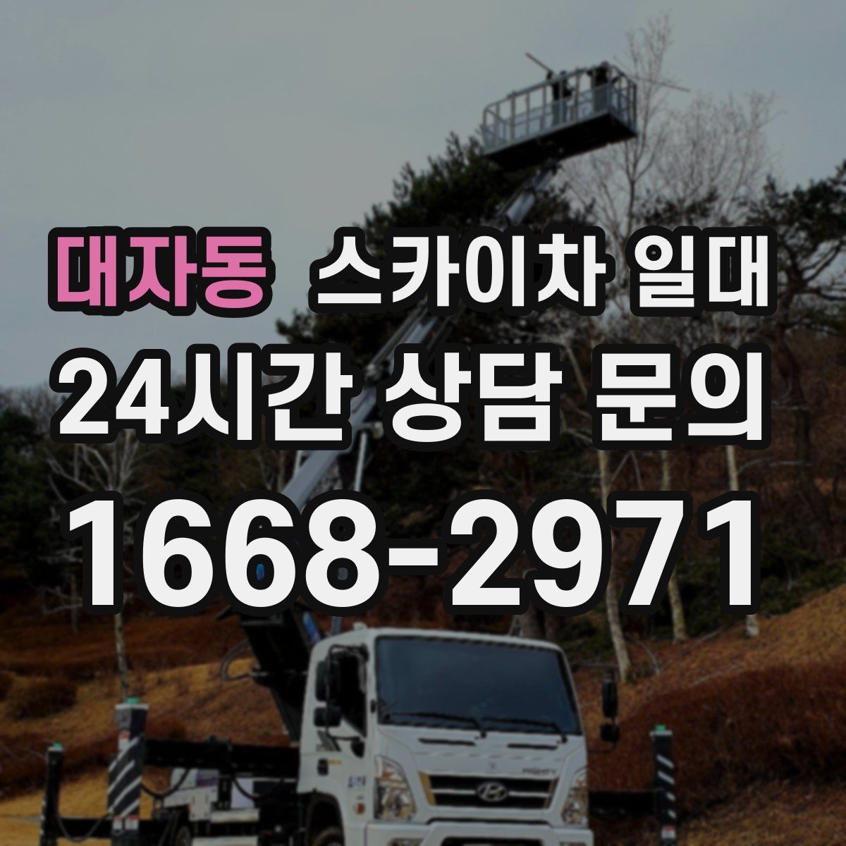 대자동 스카이차 일대