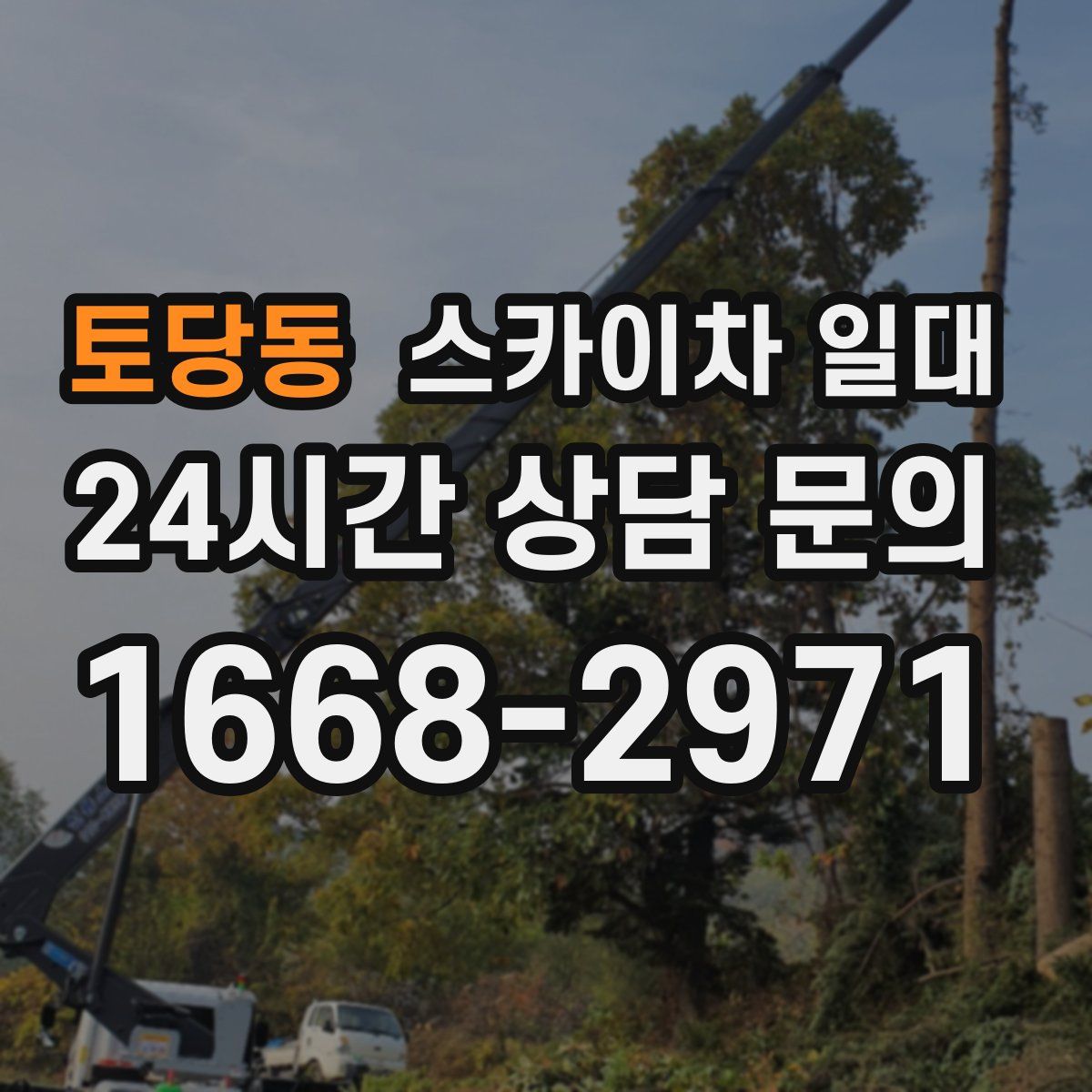 토당동 스카이차 일대