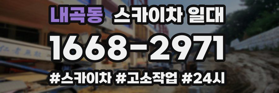내곡동 스카이차 일대