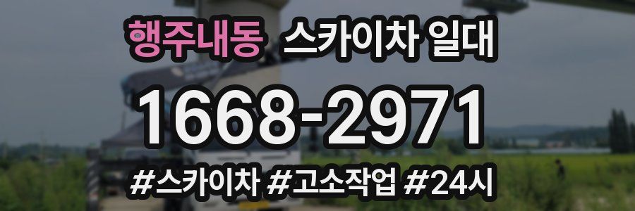 행주내동 스카이차 일대