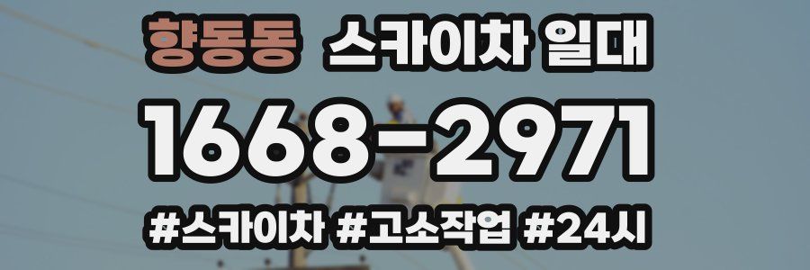 향동동 스카이차 일대